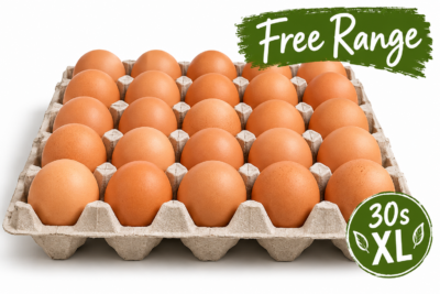 XL Eggs (30)