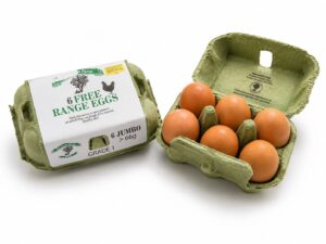 Jumbo Eggs (6)