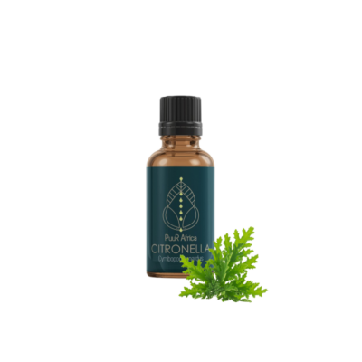 Citronella Essential Oil (10ml)