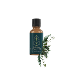 Eucalyptus Essential Oil (10ml)