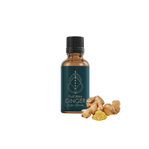 Ginger Essential Oil (10ml)