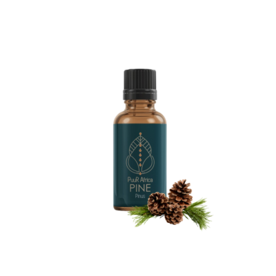 Pine Essential Oil (10ml)