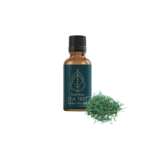 Tea Tree Essential Oil (10ml)